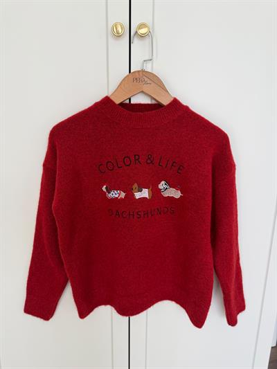 Color & Life Nakışlı Kırmızı Triko