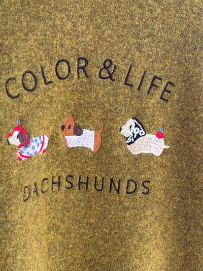 Color & Life Nakışlı Olive Triko