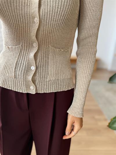 Minik Düğmeli Parıltılı Bej Hırka