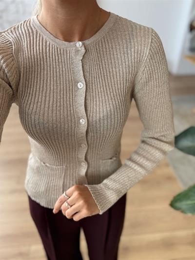 Minik Düğmeli Parıltılı Bej Hırka