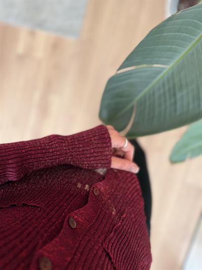 Minik Düğmeli Parıltılı Bordo Hırka