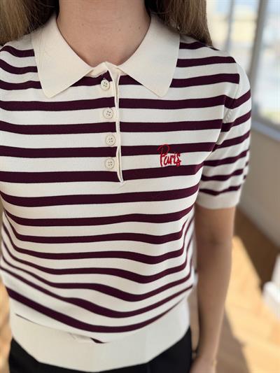 Polo Yaka Mürdüm Çizgili Triko