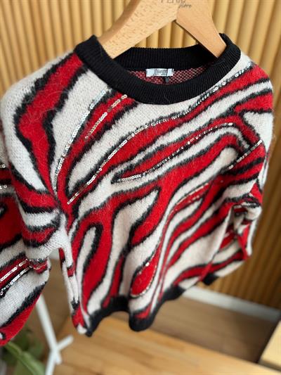 Anita Pul İşlemeli Desenli Kırmızı Kazak