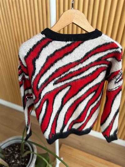 Anita Pul İşlemeli Desenli Kırmızı Kazak