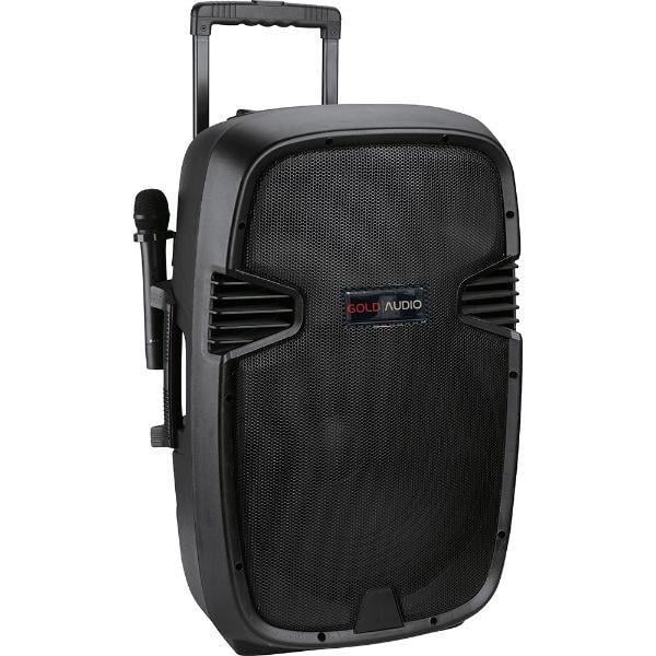 15 İnç 38 Cm Taşınabilir Amfili Hoparlör Kabini - 2 Mikrofonlu El+Yaka