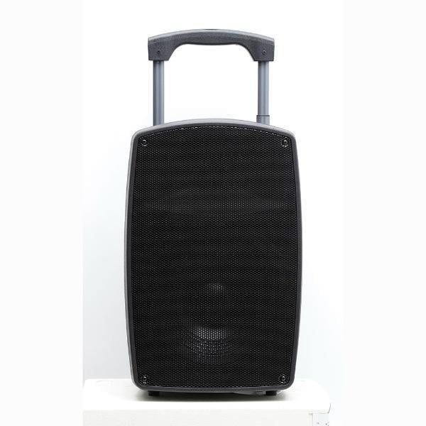 15 İnç 38 Cm Taşınabilir Profesyonel Amfili Hoparlör Kabini - 2 Mikrofonlu El+Yaka