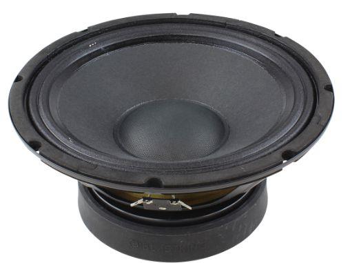 25Cm (10 İnç) 200 WATT Profesyonel Hoparlör - 8 Ohm
