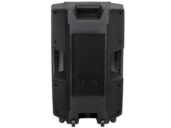 38 Cm 15 Inç Pasif Plastik Hoparlör Kabini - Model R - 500 WATT