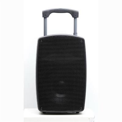 12 İnç 30 Cm Taşınabilir Profesyonel Amfili Hoparlör Kabini - 2 Mikrofonlu El+Yaka