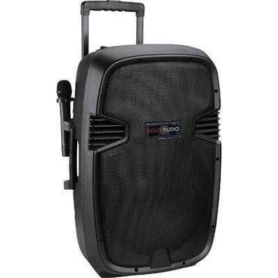 15 İnç 38 Cm Taşınabilir Amfili Hoparlör Kabini - 2 Mikrofonlu El+Yaka