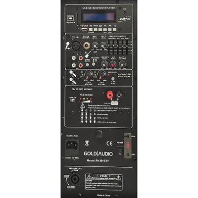 15 İnç 38 Cm Taşınabilir Amfili Hoparlör Kabini - 2 Mikrofonlu El+Yaka