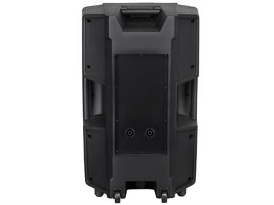 38 Cm 15 Inç Pasif Plastik Hoparlör Kabini - Model R - 800 WATT