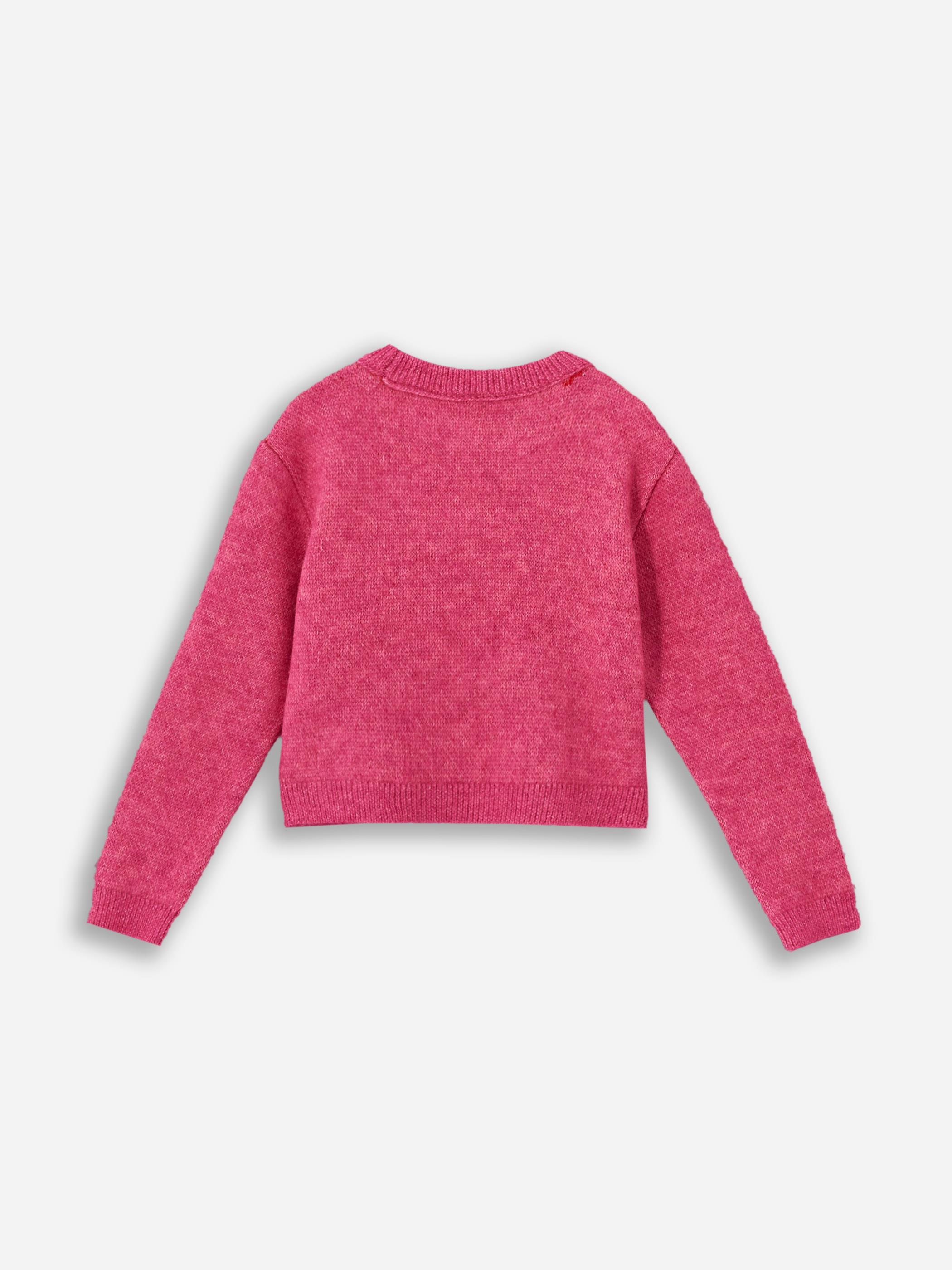 Floral Text - Bisiklet Yaka Yazı Detaylı Triko Kazak  - Pembe Renk