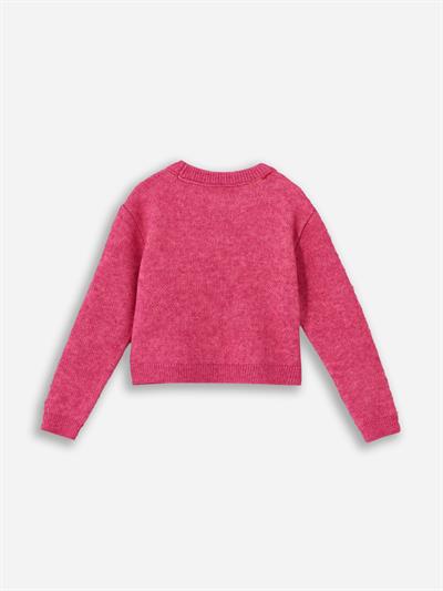 Floral Text - Bisiklet Yaka Yazı Detaylı Triko Kazak  - Pembe Renk