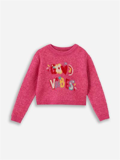 Floral Text - Bisiklet Yaka Yazı Detaylı Triko Kazak  - Pembe Renk