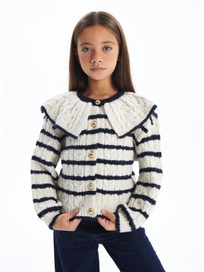 Stripe Cable - Çizgili Gömlek Yaka ve Düğme Detaylı Triko Hırka - Lacivert-Ekru Renk
