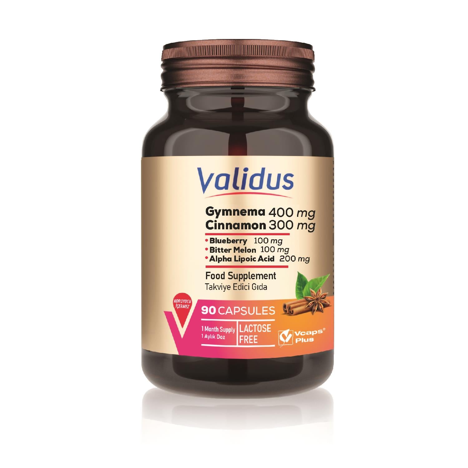 Gymnema Sylvestre 400 mg + Cinnamon 300 mg 90 Kapsül