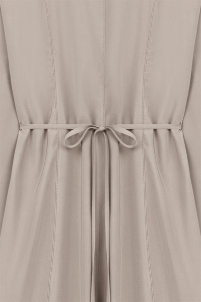 Tencel Zarif Elbise Vizon