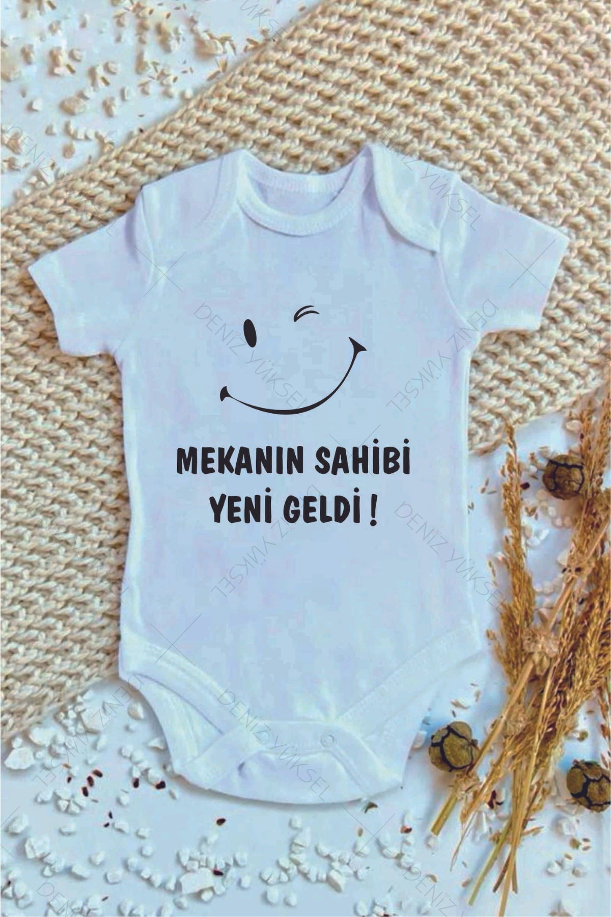 Mekanın Sahibi Yeni Geldi Body
