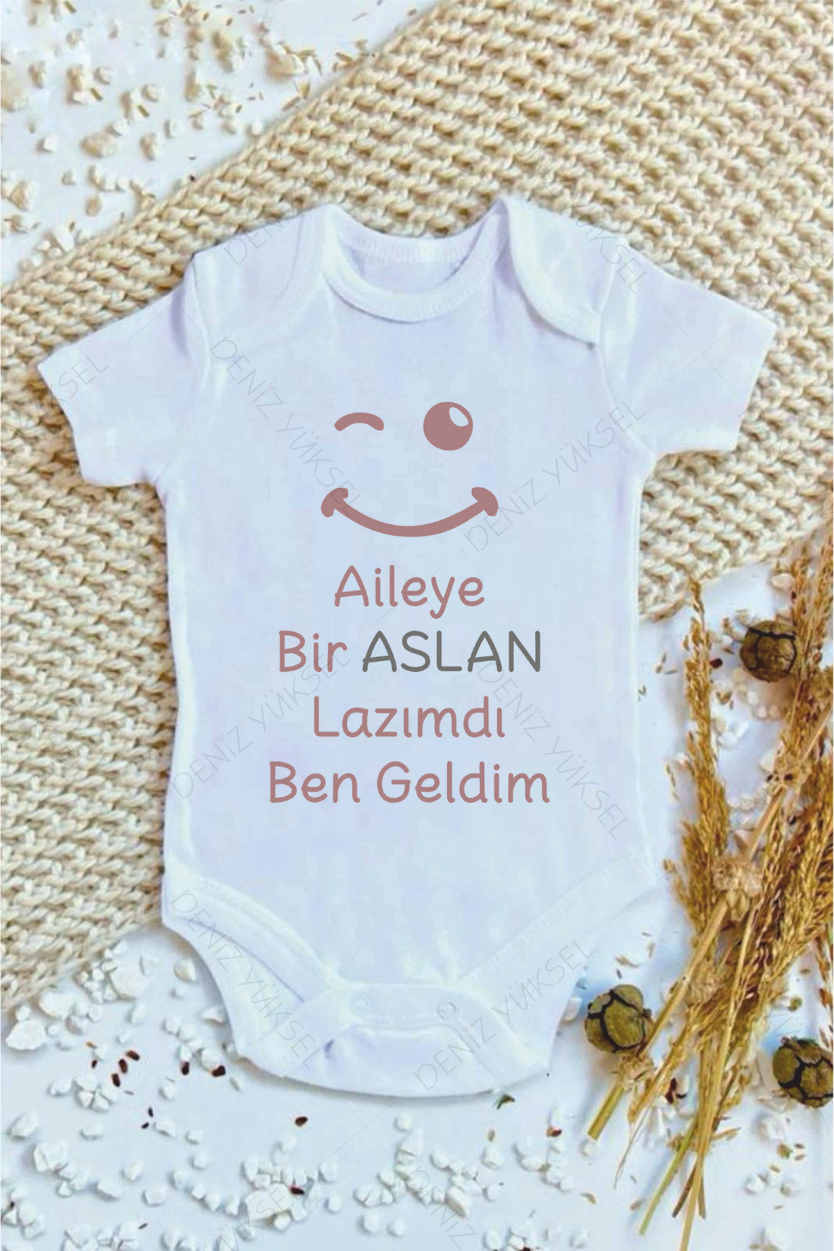 Aileye Aslan Lazımdı Ben Geldim Body