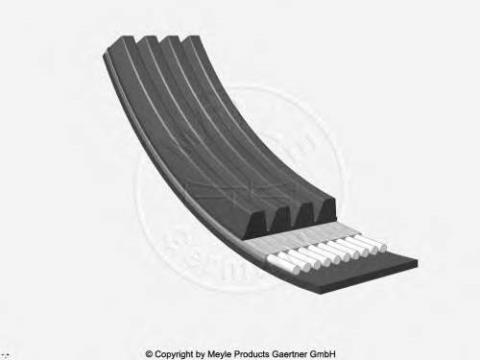 KANALLI KAYIŞ ACCENT-CITROEN-PEUGEOT-TOYOTA-FIAT-AUDI