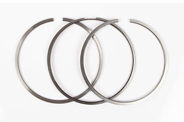 SEGMAN VECTRA A ASTRA F KADETT ASCONA 1.6 C16NZ 16SZ E16NZ 86 95 79mm STD