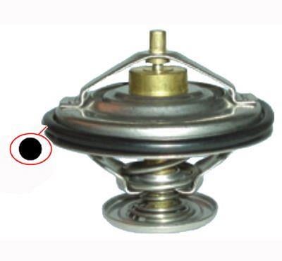 BMW TERMOSTAT-5.23I 5.28I E39 