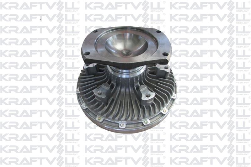 FAN GOVDESI - SCANIA / 113