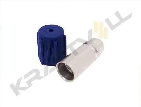 GAZ BASMA PORTU ALCAK BASINC  M10 x 1.25 FORD (5ADET)