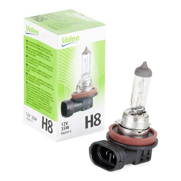 H8 AMPUL KARTON KUTU- STANDART SERİ