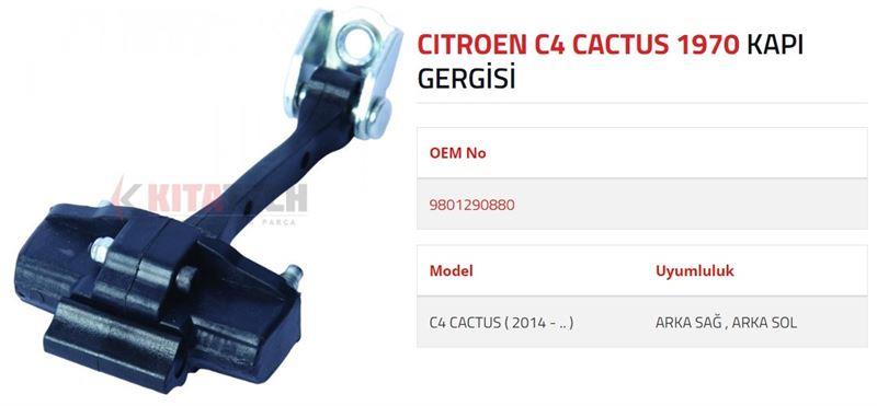 KAPI GERGİSİ C4 CACTUS ARKA