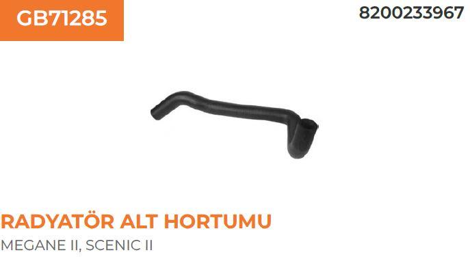 RADYATÖR HORTUMU ALT MEGANE II 02>09