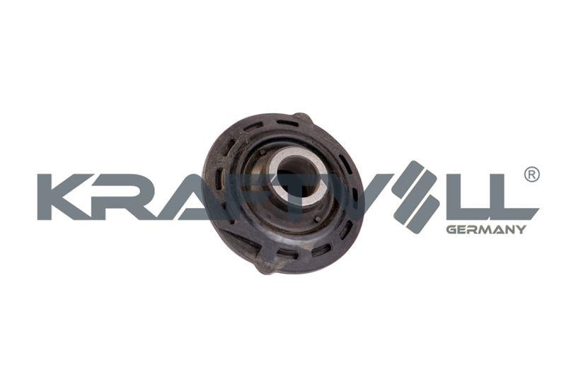 SALINCAK BURCU (ORTA) C2 C3 C3 II C3 PLURIEL P1007 (02 09)