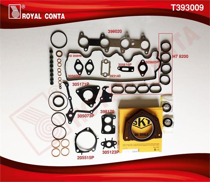 TAKIM CONTA SKT KEÇELİ REINZ S.LASTİKLİ SİLİNDİR KAPAK CONTASIZ FIAT DOBLO  PUNTO 1.9 DİZEL 223A6.000 MOTOR