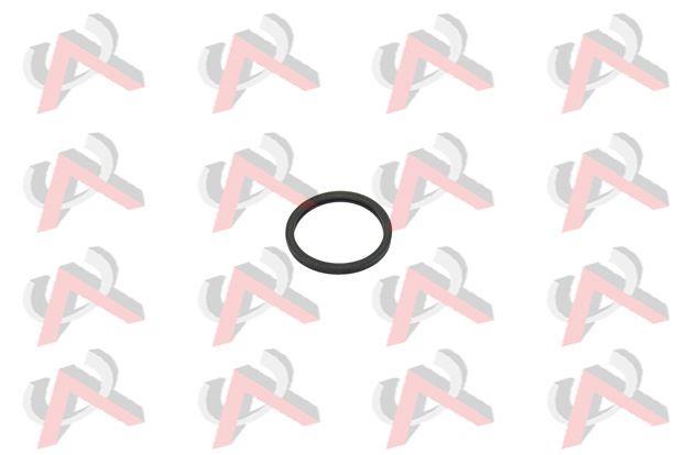 TERMOSTAT ORING R19 CLIO