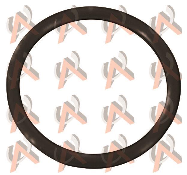 TERMOSTAT ORINGI R19