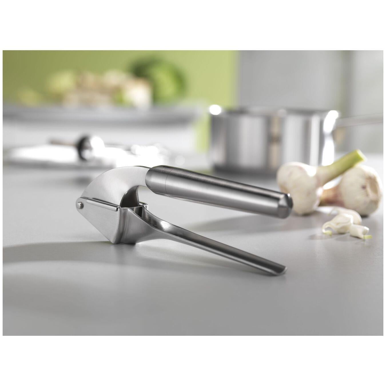 Zwilling 371600190 Sarımsak Ezici