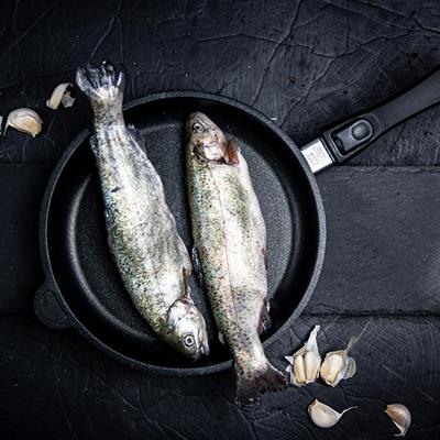 AMT 532E Döküm Tava 32cm, h:5cm