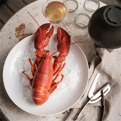 Drosselmeyer CAP02B Istakoz Kıracağı