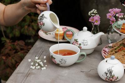 Mikasa x V&A Alice in Wonderland MKALSUGCRMSET Fine China Porselen 200ml Krema ve Şekerlik Seti