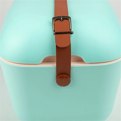 Polarbox MM Cyan – Baby Rose Classic 12L