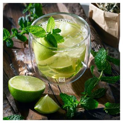 ZWILLING 395000770 SORRENTO 240ML ÇİFT CAMLI ÇAY 2Lİ SET