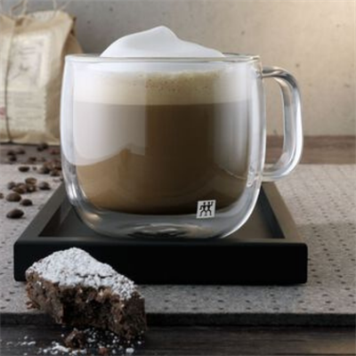ZWILLING 395001130 PLUS 450ML ÇİFT CAMLI KULPLU CAPPUCINO 2Lİ SET