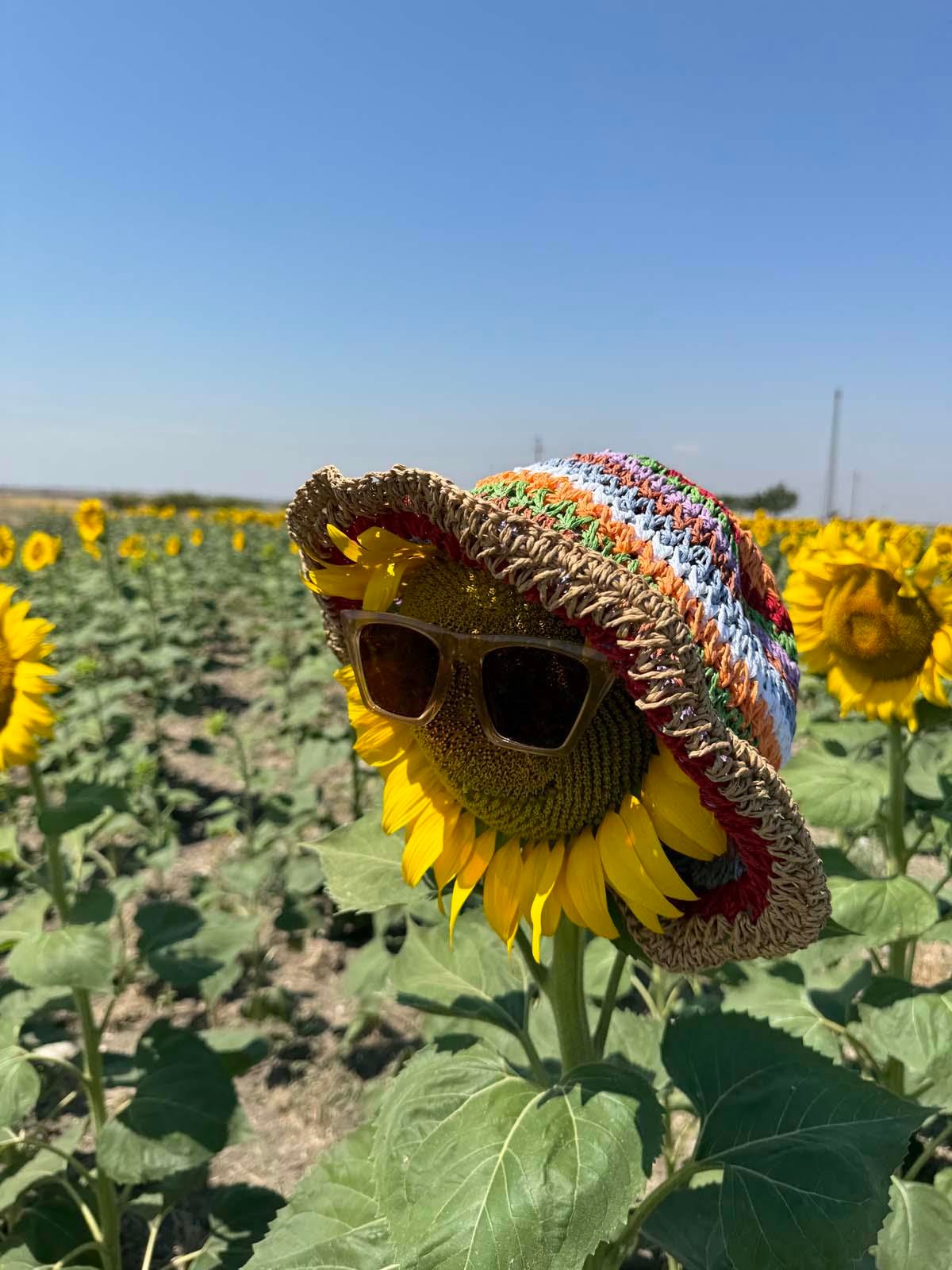 Rainbow Kahve Hasır Şapka