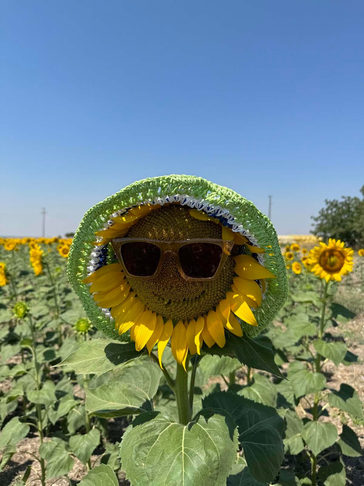 Rainbow Yeşil Hasır Şapka