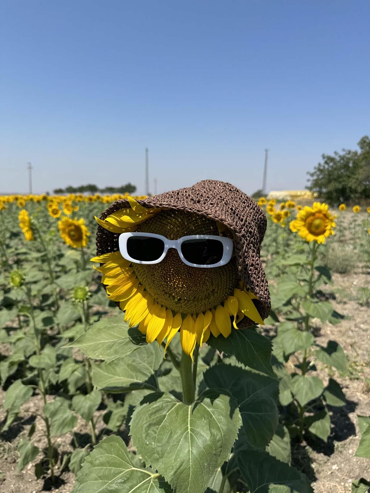 Scarecrow Kahve Hasır Şapka