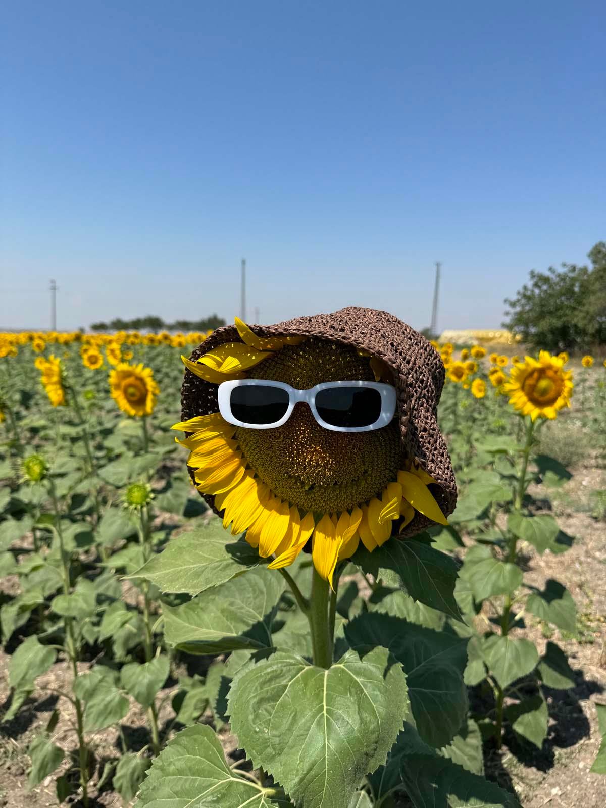 Scarecrow Kahve Hasır Şapka