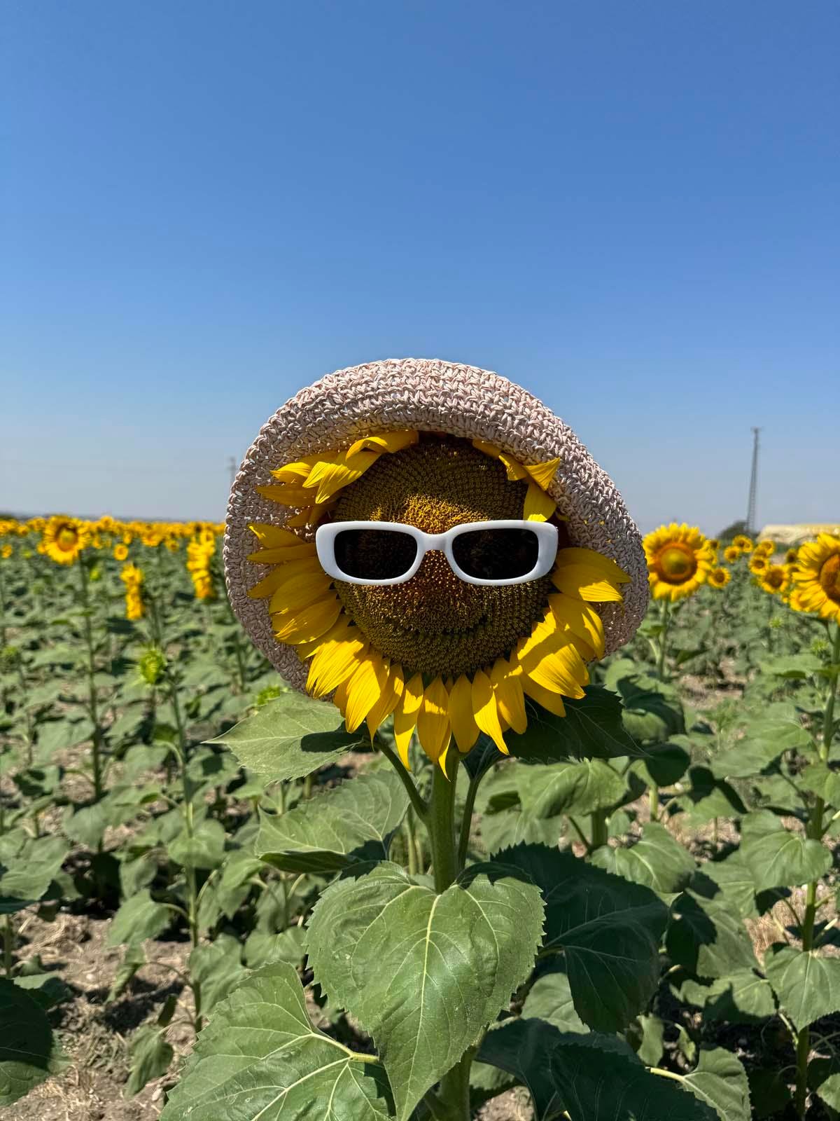 Scarecrow Pudra Hasır Şapka