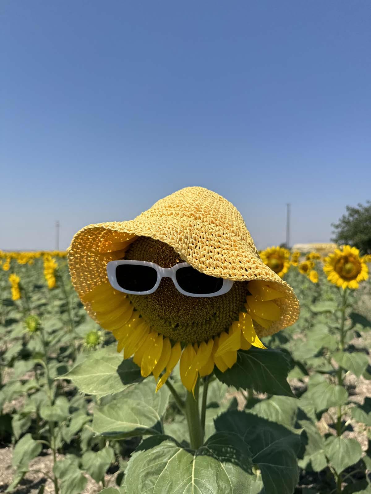 Scarecrow Sarı Hasır Şapka