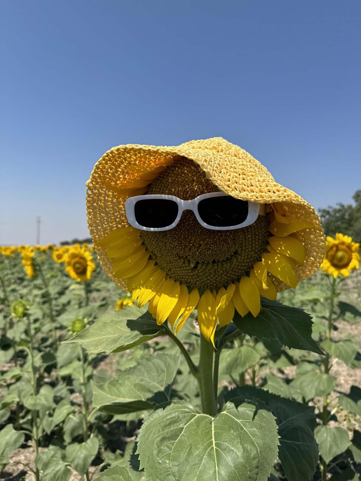 Scarecrow Sarı Hasır Şapka